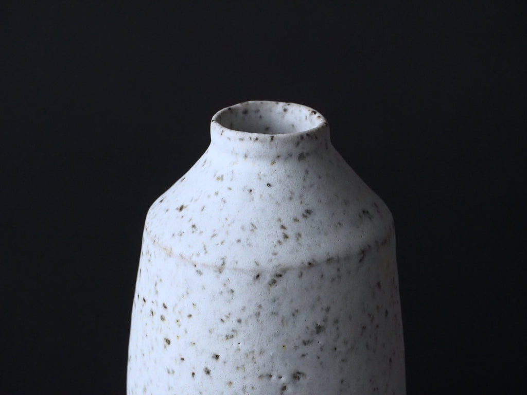 Mountain Range Bottle Vase A3